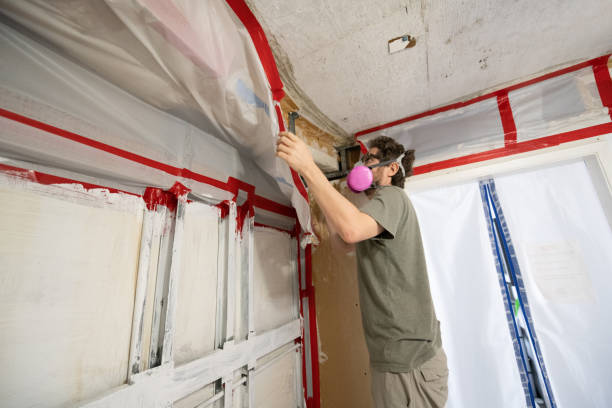 Best Post-Remediation Verification Testing  in Connellsville, PA